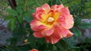 20190527_152554.webp