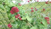 20190527_152428.webp