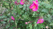 20190527_152310.webp