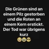 IMG-20190530-WA0002.webp