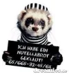 0wasch.webp