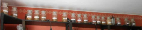 DSCN2321.webp