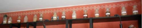 DSCN2322.webp