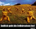 7 erdbären.webp