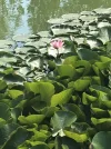 A70A0529-201C-4B97-B885-178B8CB68330.webp