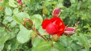 20190531_122534.webp