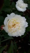 20190531_122448.webp