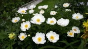 20190531_122323.webp