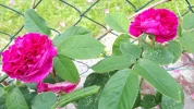 20190531_122126.webp