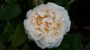 20190531_121946.webp