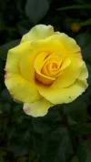 20190531_121930.webp