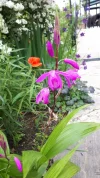 20190531_121848.webp