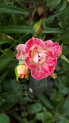 20190531_121840.webp
