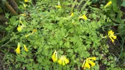 20190531_121506.webp