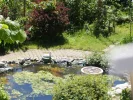 und badet.webp