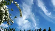 20190602_182526.webp