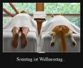 99 wellness tag mithund.webp