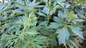 20190603_185754.webp