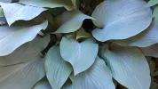 20190603_185642.webp