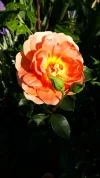 20190603_185459.webp