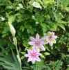 IMG_20190519_094636.webp