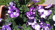 20190602_130226.webp