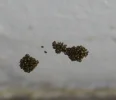 Da hängt was an der Decke 1.webp