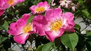 20190605_095151.webp