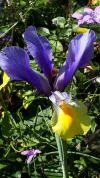 20190605_095132.webp