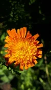 20190605_094700.webp