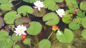 20190605_094608.webp