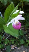 20190605_092911.webp