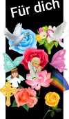 1559754054841.webp