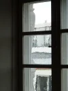 DSC00377.webp