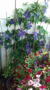 20190607_130721_resized.webp