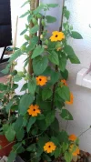 20190605_101320_resized_1.webp