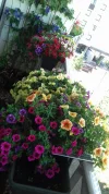 20190605_101218_resized.webp