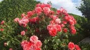 20190609_073836-3456x1944.webp