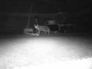 DSCF0208.webp