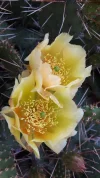 20190609_113045.webp