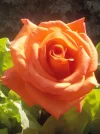 IMG_20190611_080617.webp