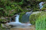 IMG_2390.webp