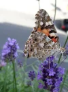 20190612_092135.webp