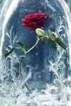 742069.webp