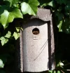 DSCN2353.webp