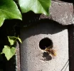 DSCN2354.webp