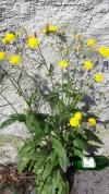 20190613_083545-1944x3456.webp