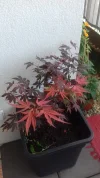 20190613_111246.webp