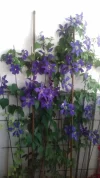 20190613_111041.webp