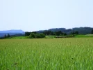 DSC00724.webp